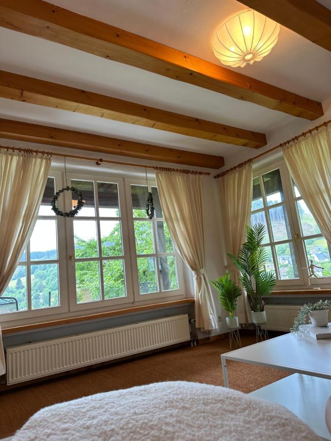 Urlaubsschmiede Appartement Winterberg